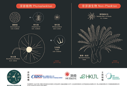 Hong Kong Coastal Plankton Guide